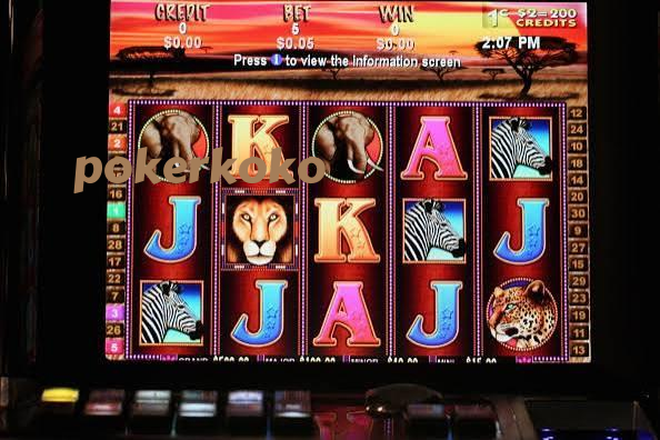 pokerkoko Live Game Shows at pokerkoko